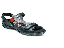 2484 2399��� ���� 33, 36, 39, 40�.jpg