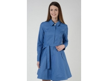 73426 dgins 1 w131 h197.jpg