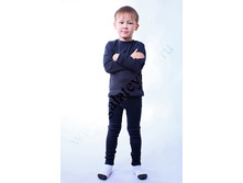 �-0713 �������� ������� �-2733 ������������ ��������.jpg