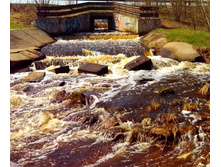 IMG 20170430 102408-2.jpg