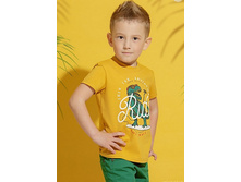 2231-6 �������� 577 ���.