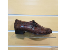 577 ����.���� ������.���