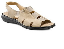 1825 2499 ��� ��� 41�.jpg