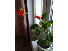 20160617 155603.jpg