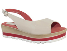 529 ��� �������