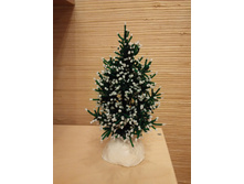 ���� �� �������.jpg