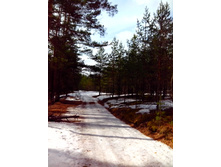 IMG 20170409 120114.jpg