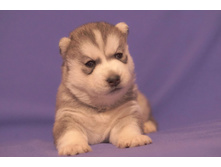 �������1