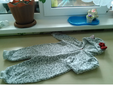 IMG 20170419 114036.jpg