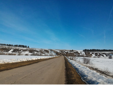 P 20170312 123536.jpg