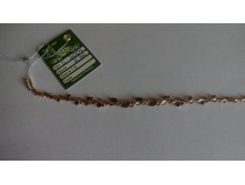 IMG 20170406 134948.jpg