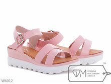 ��������� W6012