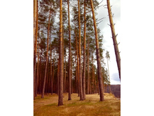 IMG 20170424 152059.jpg