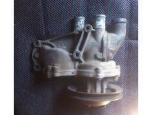 ����� (2).jpeg