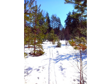 IMG 20170401 094041.jpg