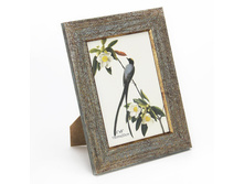 120 ���. - ���������, �������, 15�20��, ���.1811/5