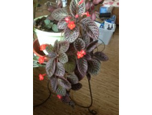 �������2