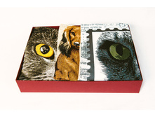 ����� ��������- ���������� �����.jpg