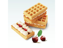 �������� 1,1�� ����� ������/����� - 244,90 ���