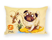 �������� ���- ����������� ���������.jpg