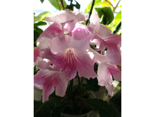 IMG 20170401 100823.jpg