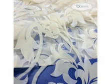 ���� ������� Lamella TN �������.jpg