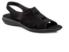 1824 2499 ��� ���� ����� 38�.jpg