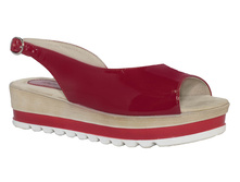 529 ��� �����