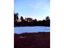 IMG 20170401 183735.jpg