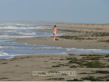 �� ������� ������ ��������