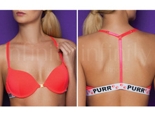 322.00  258611	����������� Push-up ���. Pristi ����������