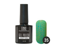 162 ���. - ����-��� "TNL - � �������� �������������� "Crack " ?35 - ��������� (10 ��. )