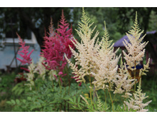 �������� �������� � ��������� (�ϣ ����)