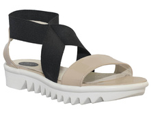 527 ��� �������