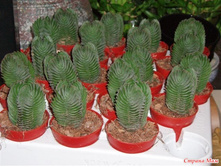 8289718 26990-650x0.jpg