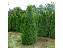 ��� �������� ������� (�9).jpg