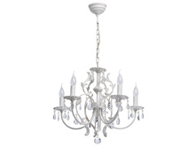 301019805 6100�.jpg