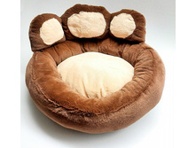 ���� �������