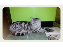 �����-����