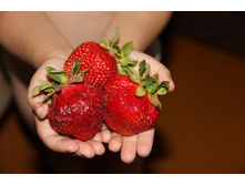 ������������ (����� � ������� ������� ������)