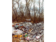 IMG 20170424 134432.jpg