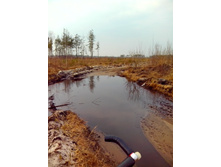 IMG 20170408 153807.jpg