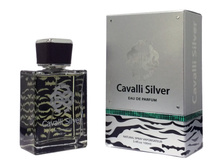 899 ���. (������ 4%) - Cavalli Silver for men 100 ml