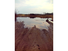 IMG 20170408 152543.jpg