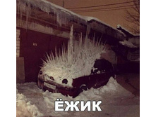 15578585 1849411485343337 4196354587011713810 n.jpg