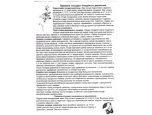 7170305.Scan 20130426 215936.jpg