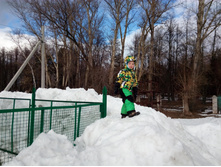 IMG 20170325 152934.jpg