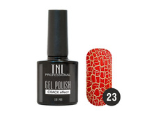 162 ���. - ����-��� "TNL - � �������� �������������� "Crack " ?23 - ��������-������� (10��.)