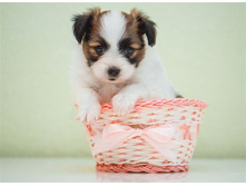 ������ ����� ���� 1 ���.