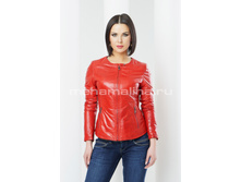 ������ �� ���� �-283.jpg